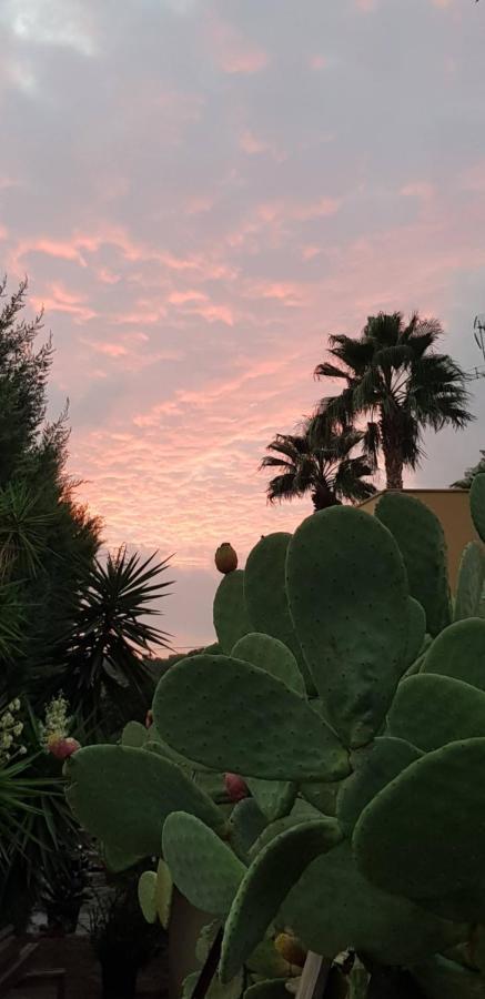 B&B Le Dune Beach San Leone Kültér fotó